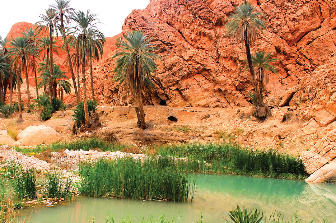 Kahina: North Africa’s Enigmatic Queen of Resistance